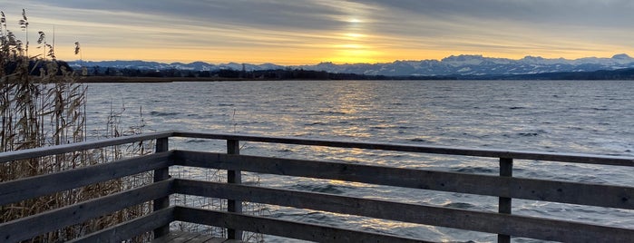 Naturschutzgebiet Unterer Greifensee is one of Places for a date.