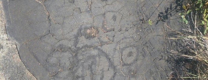 Pu'u Loa Petroglyphs is one of HI spots.