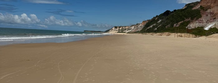 Club Med Trancoso is one of Places.