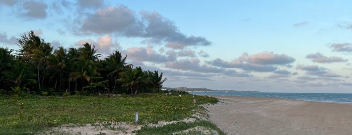Praia Do Salinas is one of BRASIL: NORDESTE.