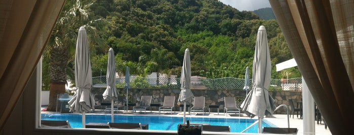 Grifo Hotel De Charme Ischia is one of 55agency Hotels.