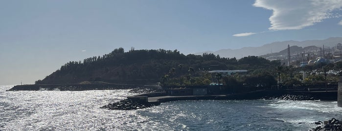 Auditorio de Tenerife is one of Tempat yang Disukai El Duende del Parque.
