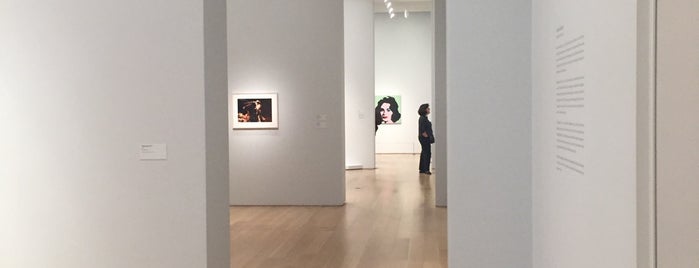 The Art Institute of Chicago is one of Locais curtidos por Cidomar.