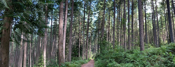 Benson Creek Falls Regional Park is one of Vancouver Island.