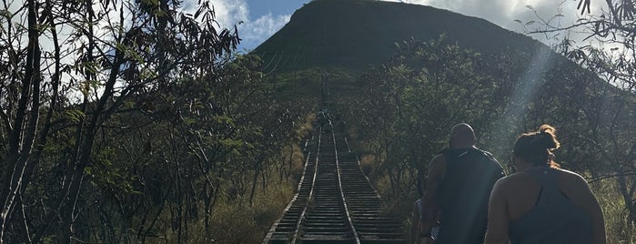 Koko Crater - Top Of The Stairs is one of APさんのお気に入りスポット.