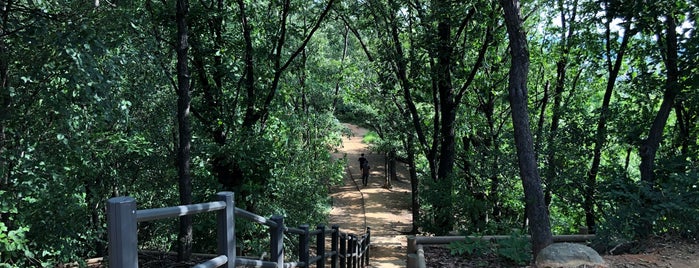 봉제산 국기봉 is one of All-time favorites in South Korea.