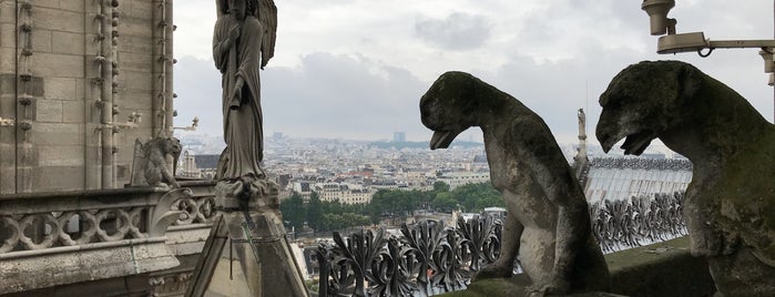 Catedral de Notre-Dame de Paris is one of Locais curtidos por Daniel.