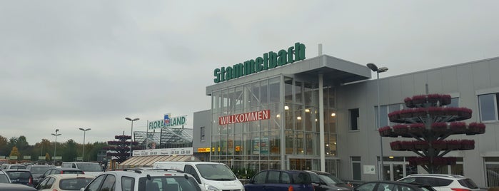 Baumarkt