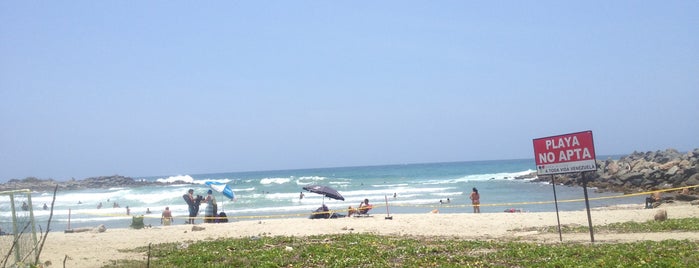 Playa Los Cocos is one of Deportes.