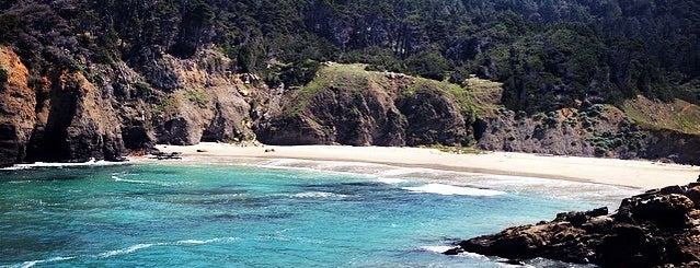 Salt Point State Park is one of RV vacation.