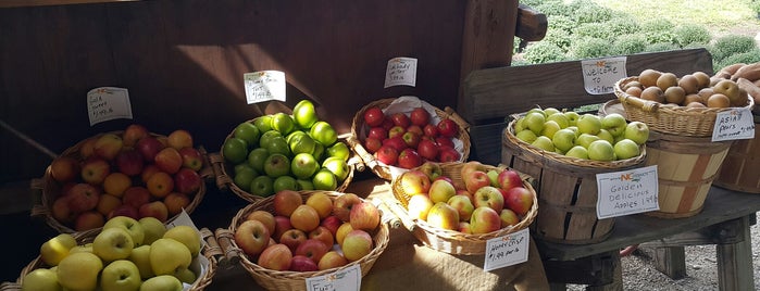 LL Urban Farming is one of Lugares favoritos de Arnaldo.