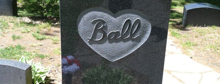 Lucille Ball's Gravesite is one of A & A DAY TRIPPIN.