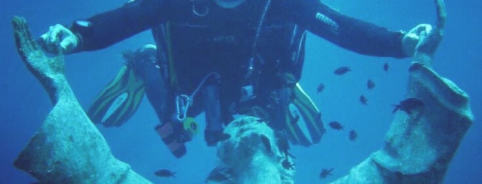 Tortuga Diving Portofino is one of Locais curtidos por Andrei.