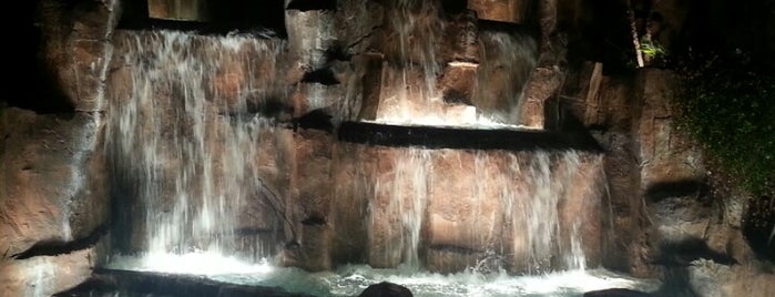 Wynn Waterfall is one of Orte, die Yishay gefallen.