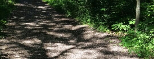 East Bluff Woods Trail is one of Lugares favoritos de Chrisito.