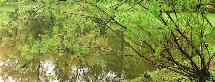 Park of the Forest Technical Academy is one of СПб.