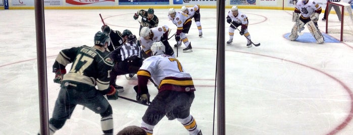 Iowa Wild Hockey is one of Des Moines.