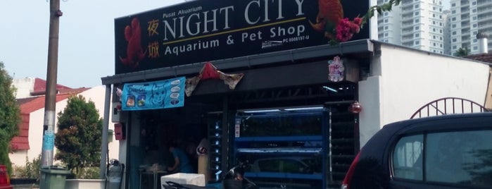 nigh city aquarium ＆pet shop is one of jane.