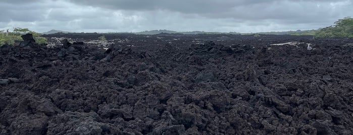 MacKenzie State Park is one of Big Island.