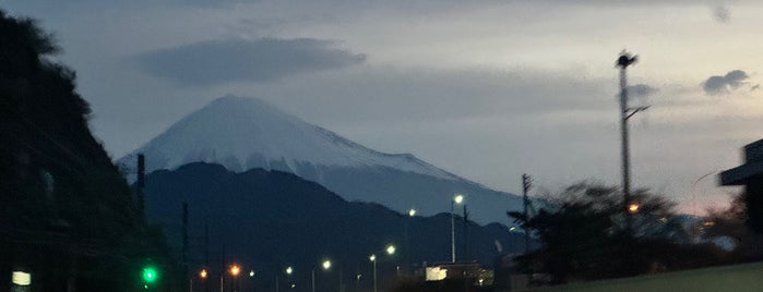 Yui Station is one of Hamamatsu to Shizuoka.