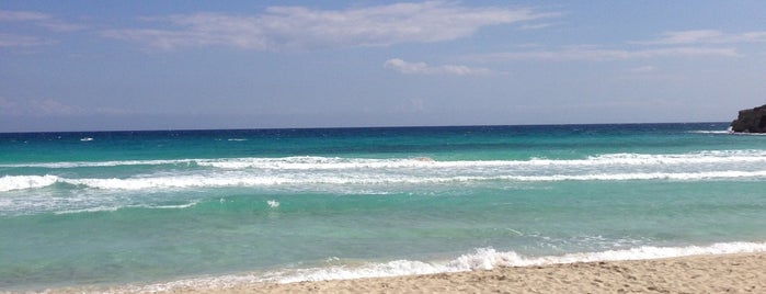 Nissi Beach is one of Tempat yang Disukai Maria 🌺.