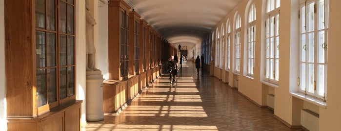Saint Petersburg State University is one of В планах🤗.