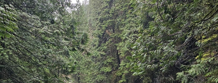 Twin Falls Lynn Canyon is one of Vancouver.