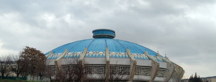 Цирк (Узбекгосцирк) / Circus is one of Uzbekistan.