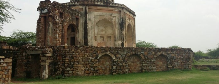 Mehrauli Archaeological Park | महरौली पुरातत्व पार्क is one of IFRC Red Cross.