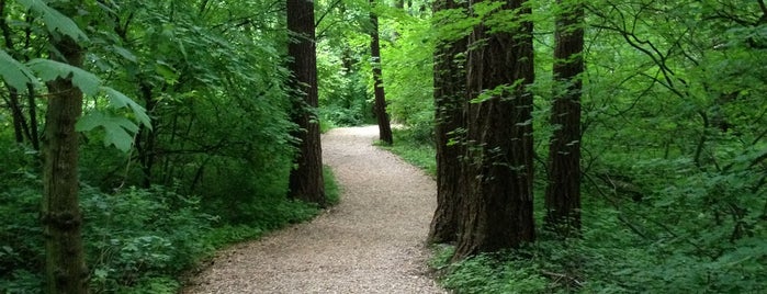Glendoveer Trail is one of Lugares favoritos de Aimee.