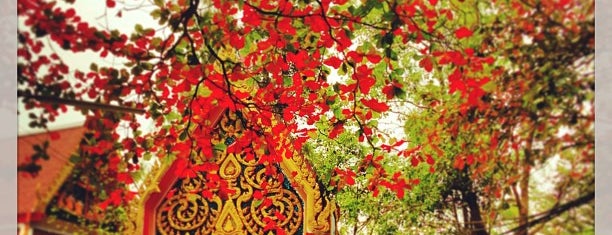 Wat Bang Krasop is one of เที่ยว"กระเพาะหมู" : The Best Urban Oasis of Asia.