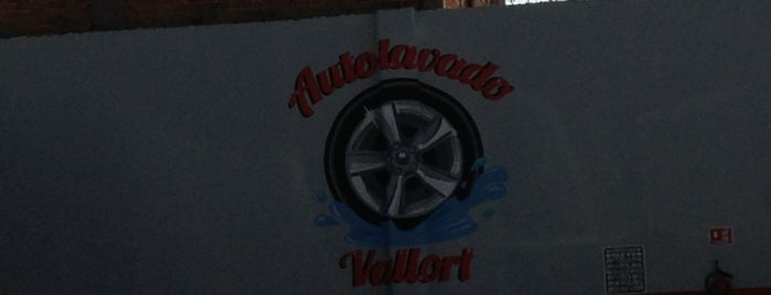 Autolavado Vallort is one of Locais curtidos por Soul.