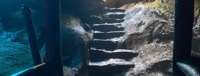 Natural Stone Bridge and Caves is one of My hometown Favs.