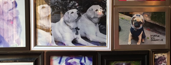 Fred's Restaurant is one of Dog Friendly.