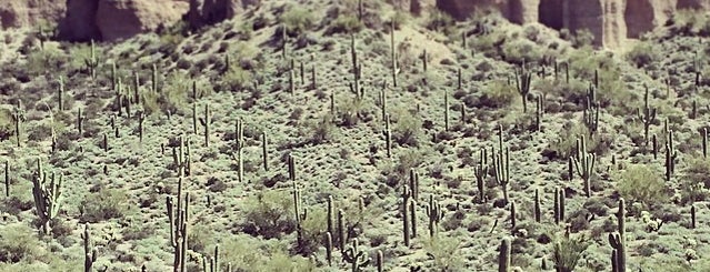 Arizona Desert is one of Tempat yang Disukai Tammy.