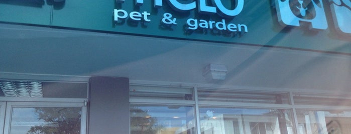 Melo Pet & Garden is one of Locais curtidos por Nicole.