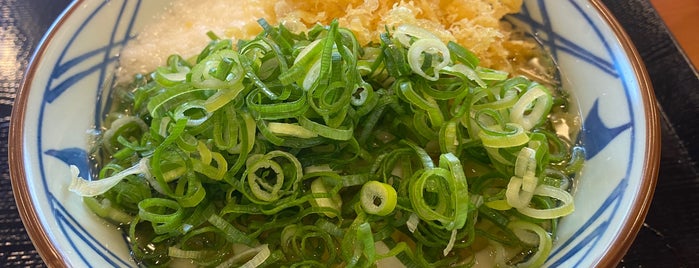 Marugame Seimen is one of 丸亀製麺 近畿版.