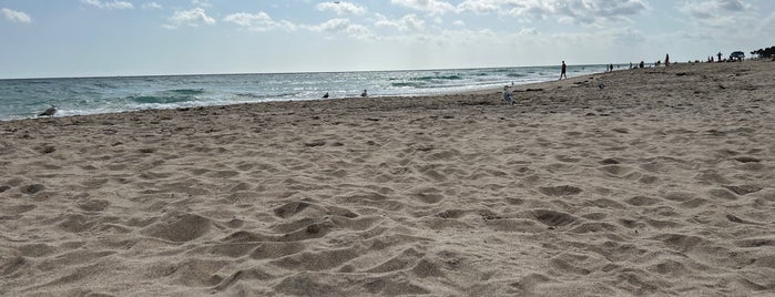 Palm Beach Municipal Beach is one of Rock Star.
