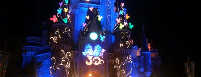 Tokyo Disney Resort 2013