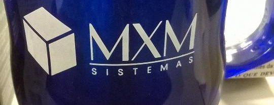 MXM Sistemas e Serviços de Informática S/A is one of Empresa de TI.