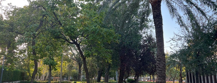 Parque Plaza Maguncia is one of av. cid.