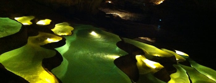 Grotte de Saint-Marcel d'Ardèche is one of Wishlist: World.