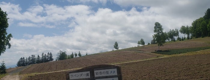 彩香の里 is one of 北海道(旭川・美瑛・富良野).