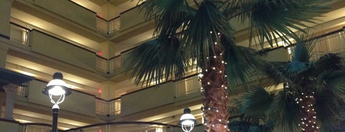Embassy Suites by Hilton Laredo is one of สถานที่ที่ Jesus ถูกใจ.