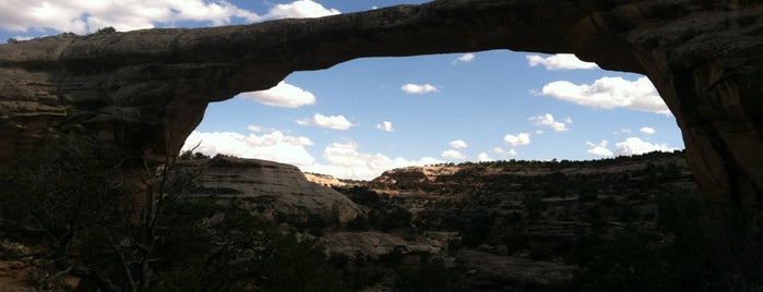 Natural Bridges National Monument is one of USA.