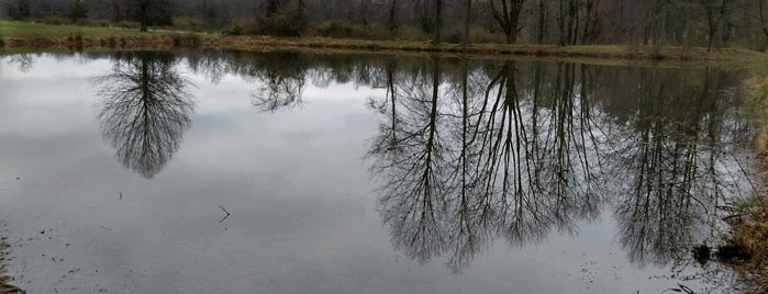 Sourland Mountain Preserve is one of NJ Outdoors.