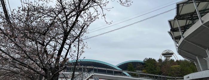 ヴィクトリーナ・ウインク体育館 is one of バレーボール試合会場.