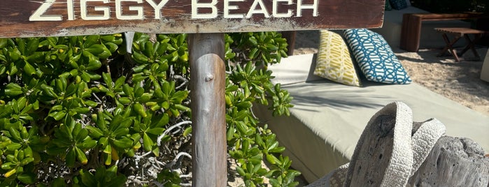 Ziggys Beach Club is one of Lugares Favoritos.