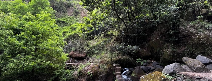 Levada do Moinho is one of Madeira-tips.