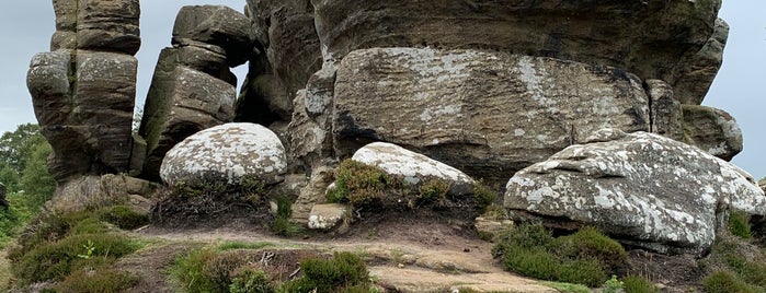 Brimham Rocks is one of Yorkshire Dales.